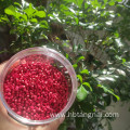 High grade pink masterbatch color granules for plastic